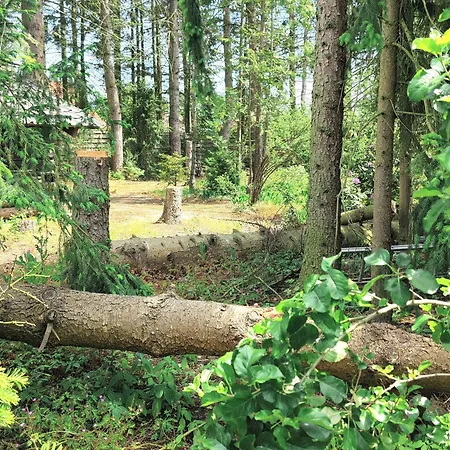 Taras Appartement Langlingen