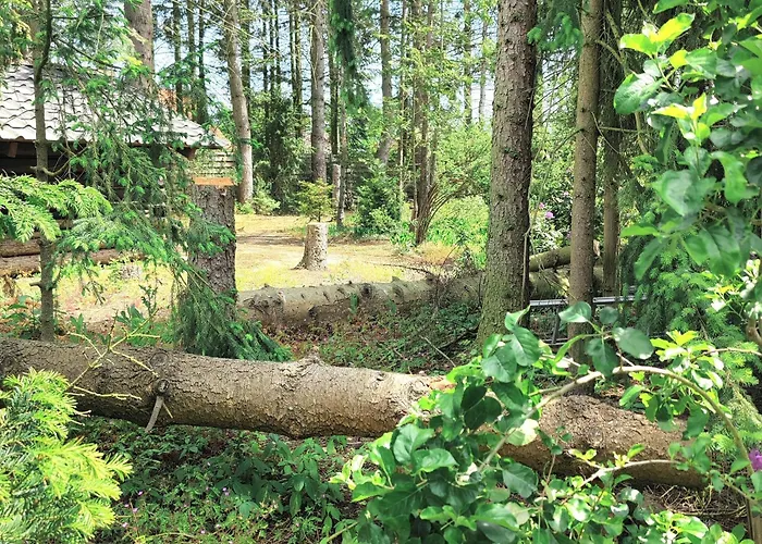 Taras Appartement Langlingen